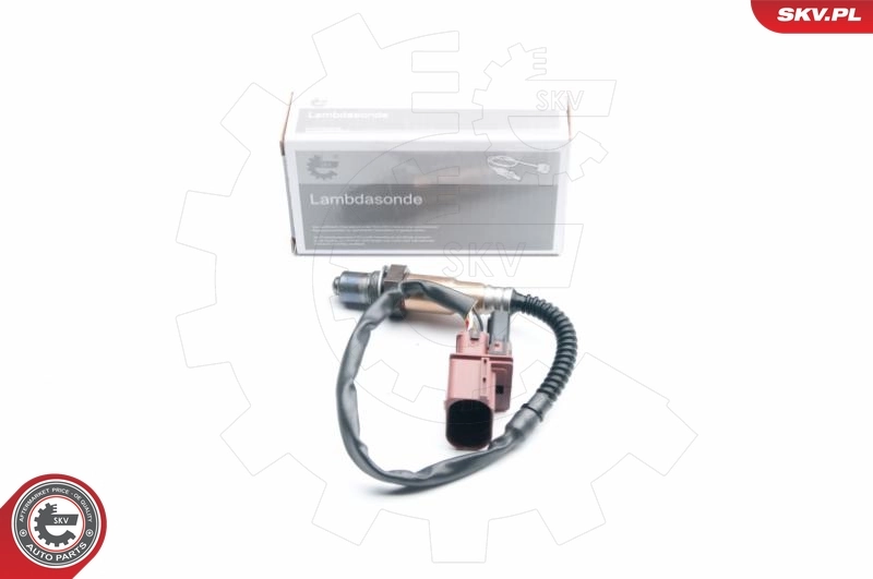 Oxygen Sensor
